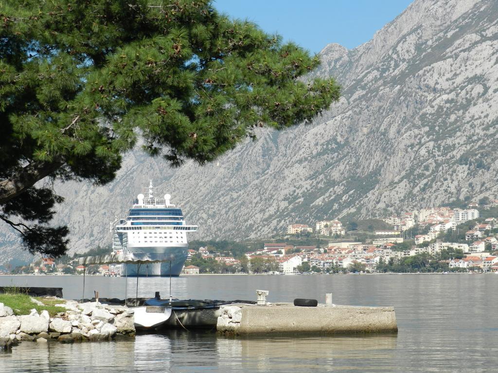 Apartment Mimosa Kotor Habitación foto